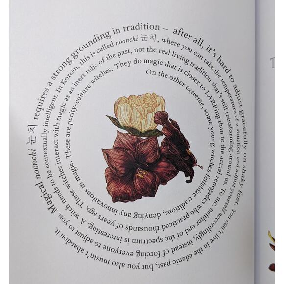 Spell Bound: A new witch's guide to crafting the future Chaweon Koo Hardbound - Picture 6 of 10